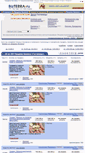 Mobile Screenshot of hotels-for-sale.bizterra.ru